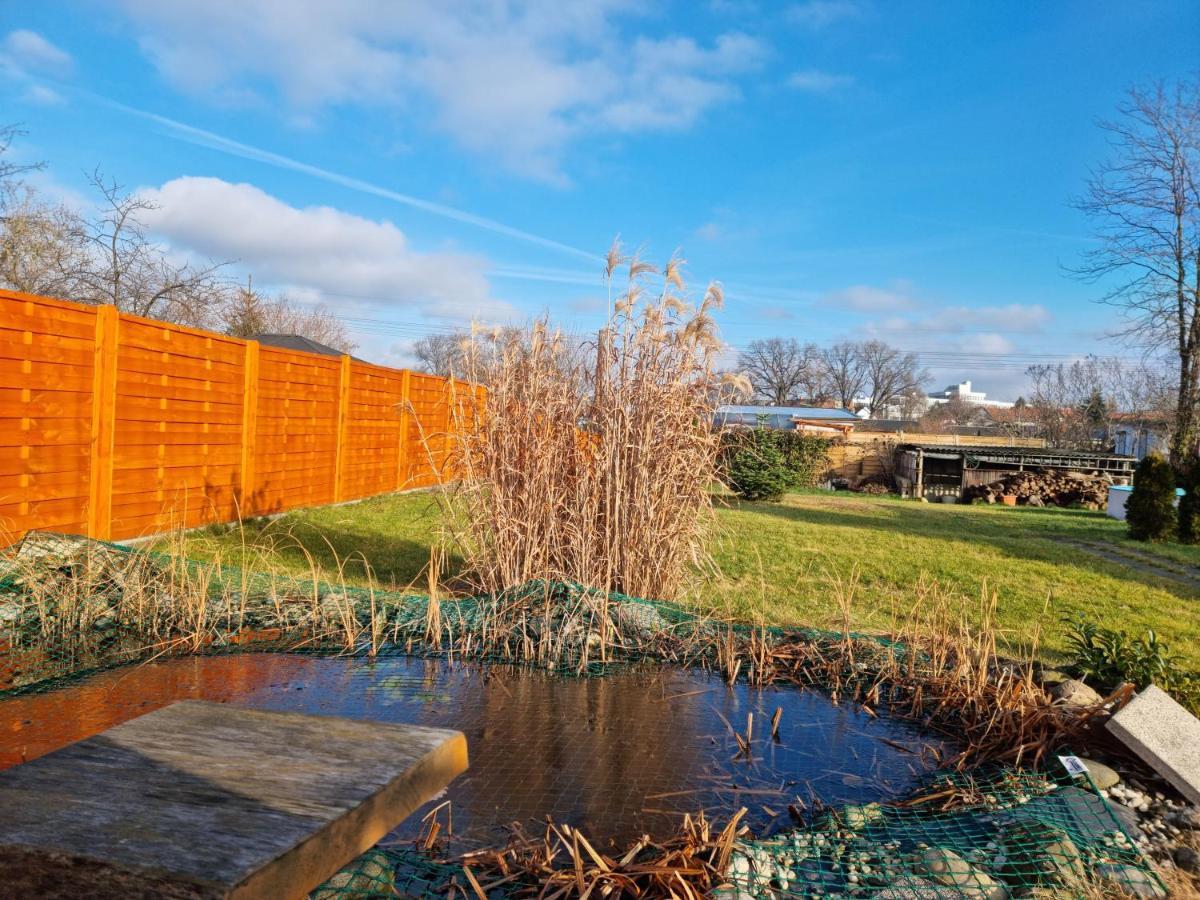 Liebevoll Eingerichtetes Haus Mit Grossem Garten In Dresden - Telefonnummer Und Video Unter Www Fhvn De Exterior photo